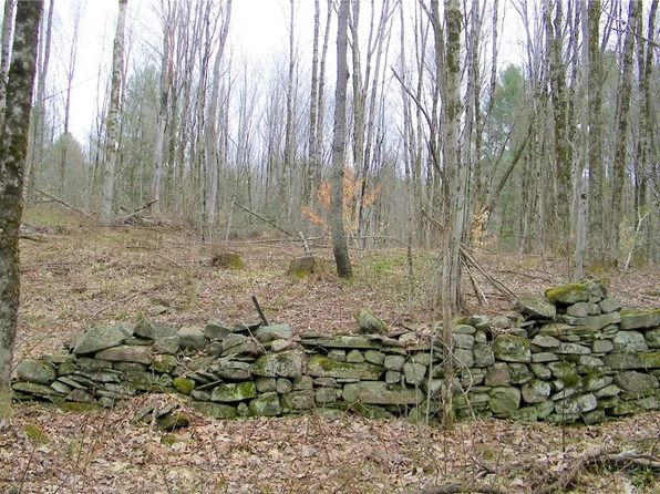 LOT 5 Salisbury Rd Lot 5, Westdale, NY 13483