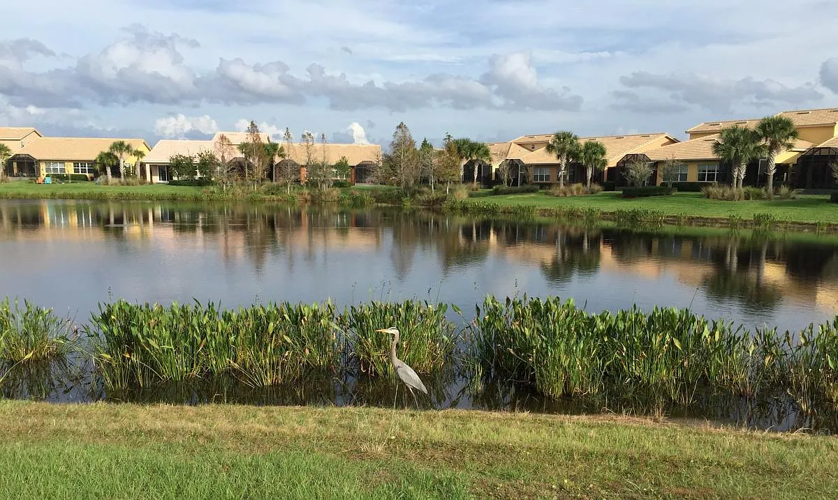 2 bed, 1481 sqft, $1,990 — Photo 1
