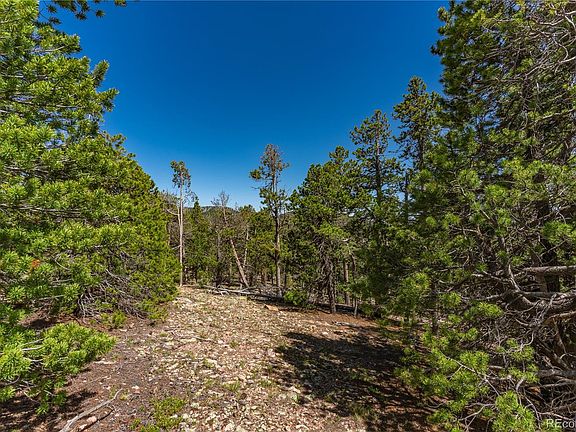 5th image of 33768 Lyttle Dowdle Drive LOT 6