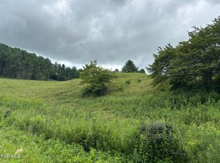 Tbd Jenkins Hollow Rd, Mountain City, TN 37683