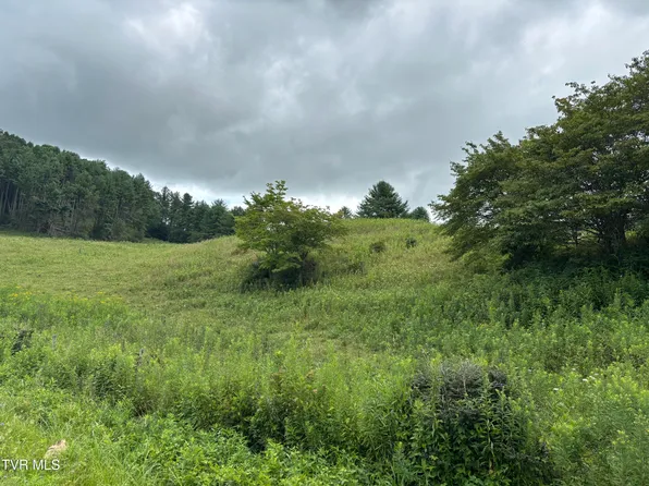 Tbd Jenkins Hollow Rd, Mountain City, TN 37683