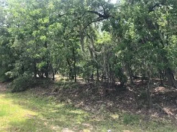 Oak Grove Church Rd, Glennville, GA 30427