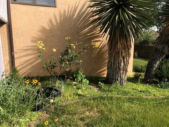 4th image of 915 Piedra Larga Pl NE