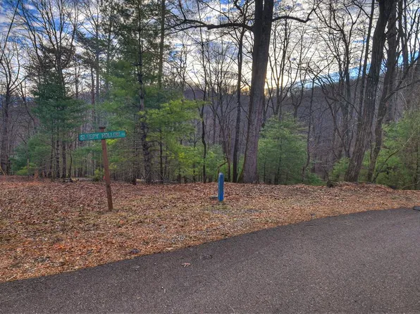 LOT M57 Walnut Mountain Ct, Ellijay, GA 30536