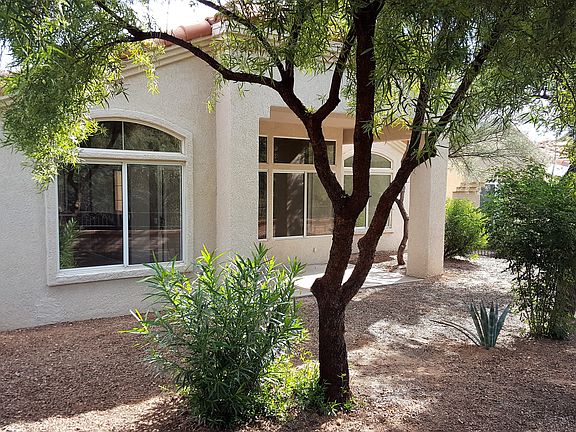 Back house/yard