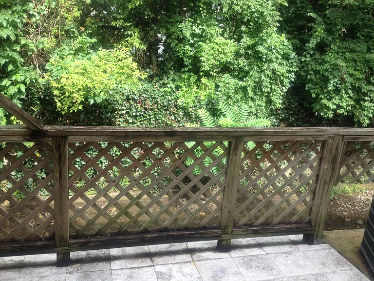 2116 Hobbs Rd #L6 — Photo 7