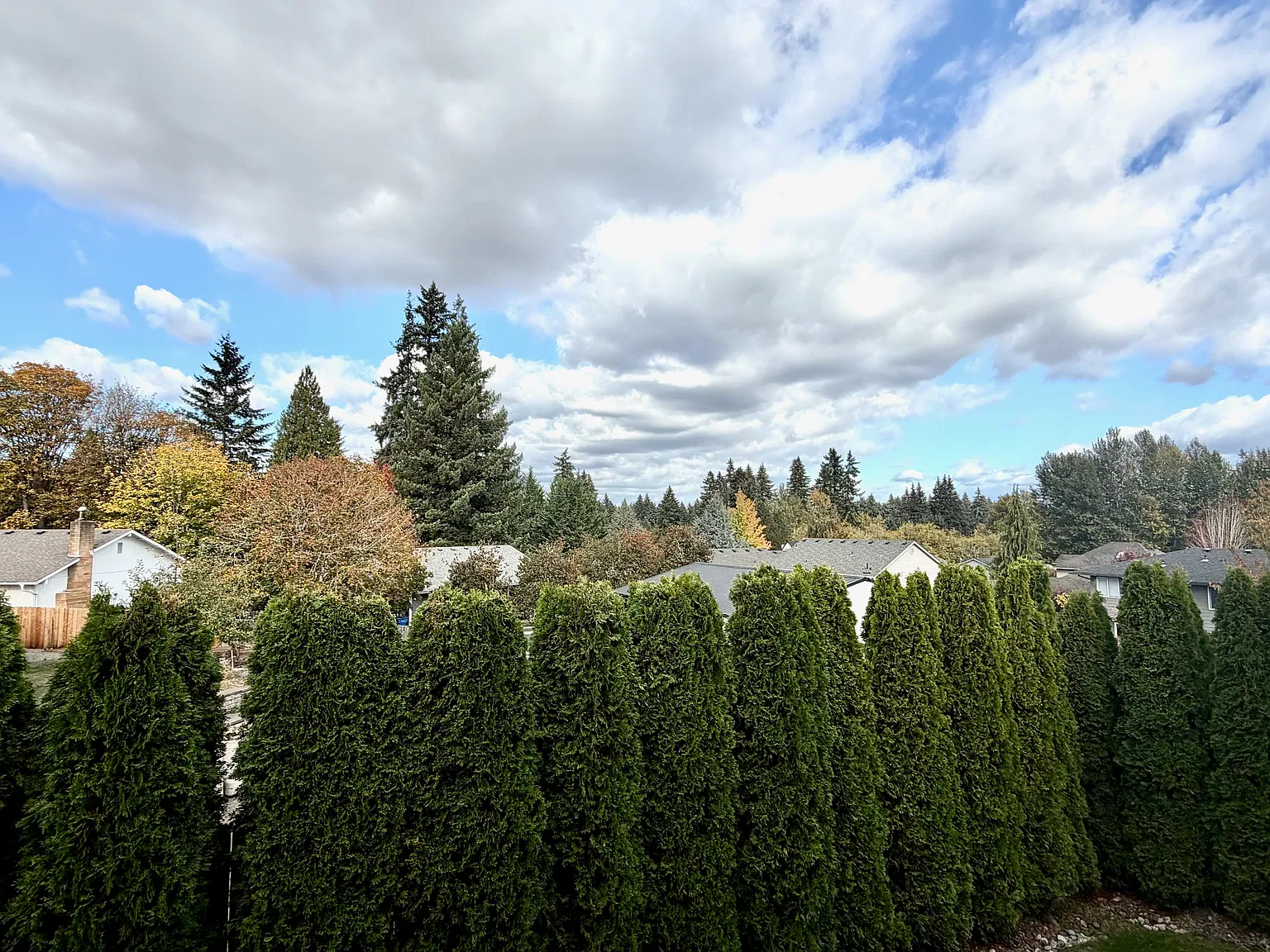 3 bed, 2.5 bath, 2305 sqft, $3,450 — Photo 3