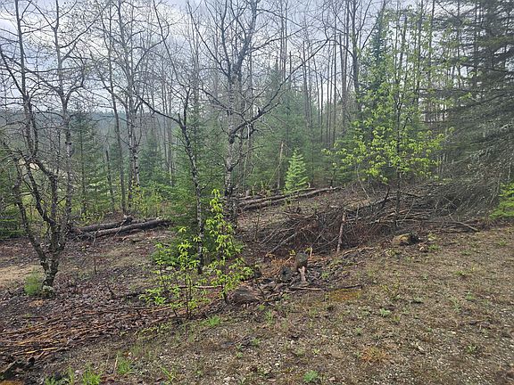 4th image of 14453 W Shoreline Dr