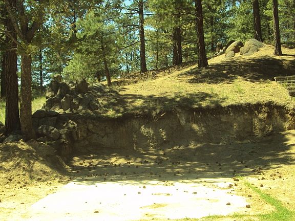 5th image of 6 Forest Park Dr