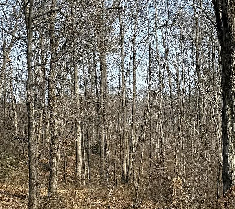2nd image of Corner Of Poplar Ridge Lane & Mountain Rd