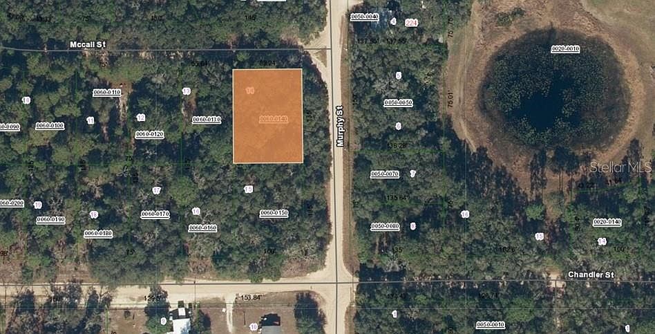 2nd image of McCall St