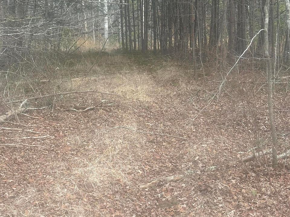 2nd image of 1 Snyder Loop