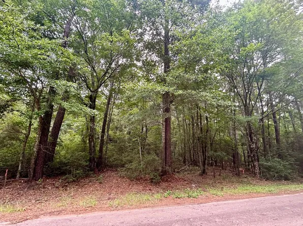 LOT 8 John Keely Rd, Zavalla, TX 75980