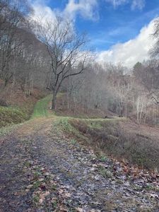 0 Hardwood Cv #100, Waynesville, NC, 28785