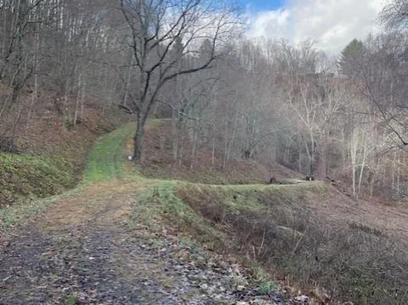 0 Hardwood Cv #100, Waynesville, NC 28785