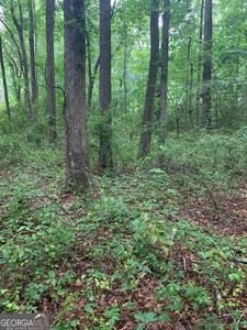 7700 Poole Cir #B, Alto, GA, 30510