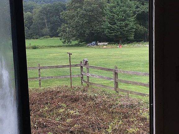 Looking out kitchen doors