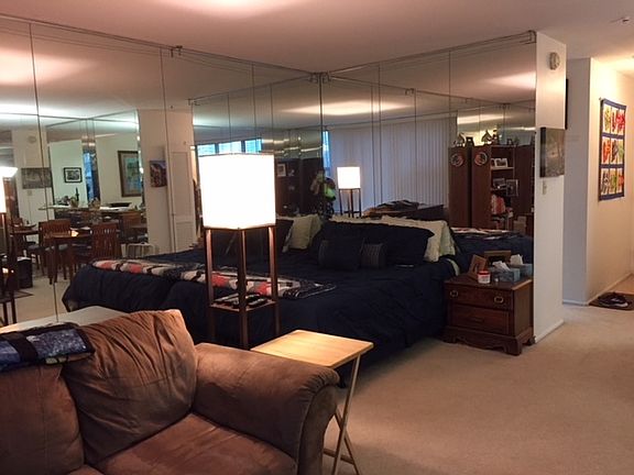 4th image of 777 N Michigan Ave APT 3604