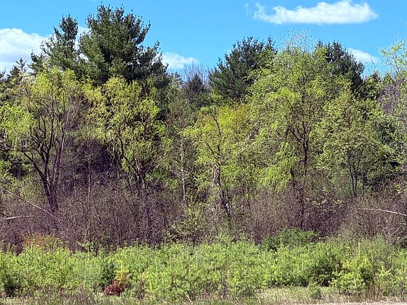 5th image of 736 John Stark Highway