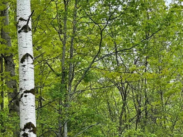 Davidson Rd, Cooks, MI 49817