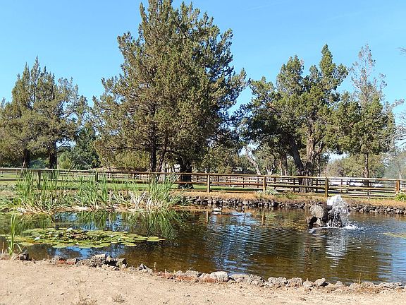 Pasture Pond