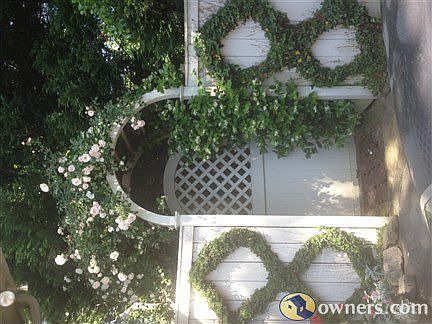 Front entrance to back yard