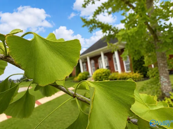 2001 Park Ter SE, Decatur, AL 35601