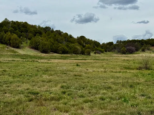 2795 County Road 222, Durango, CO 81303