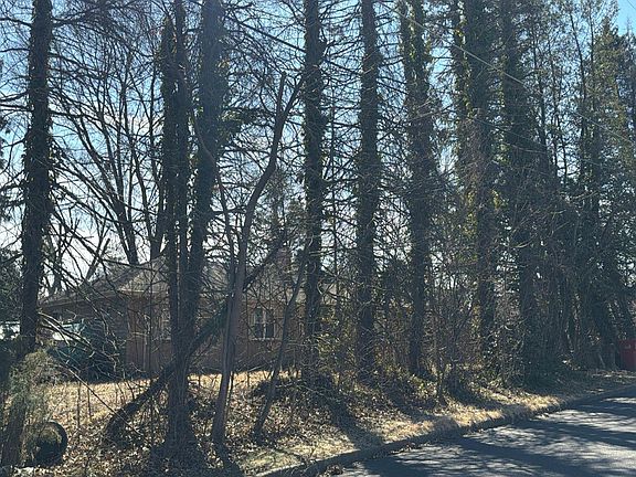 3rd image of 113 Harvard Ave