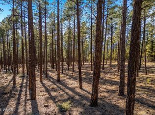 Wilderness Dr, Lakeside, AZ 85929