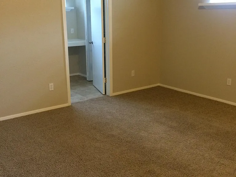 4808 Gray Fox Dr — Photo 8