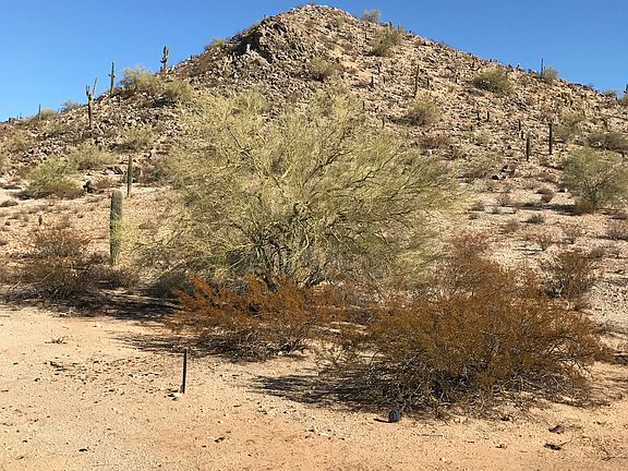 5th image of 8151 N Buena Vista Dr