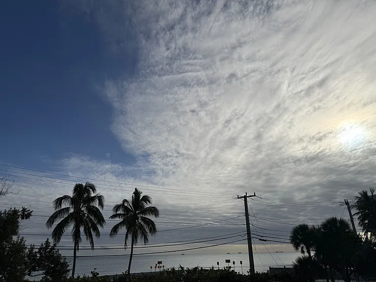 Nature's Paint Brush enjoyed from your balcony.