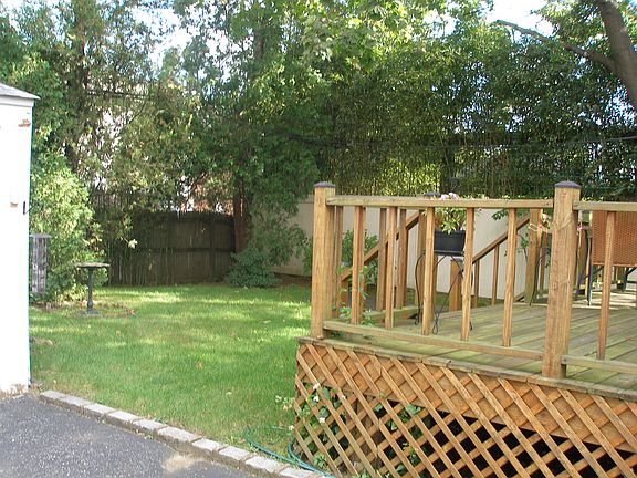 The back yard
