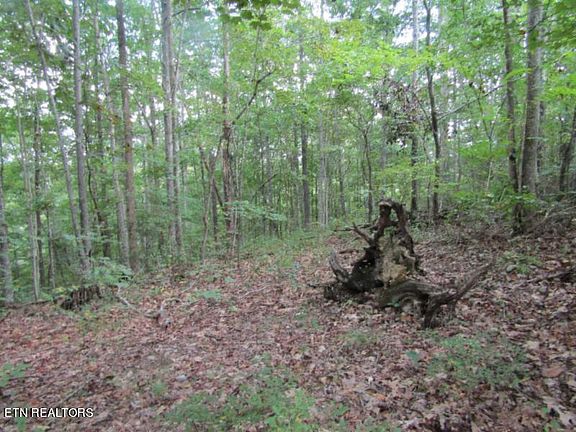 2nd image of 5017AC Backwoods Trl