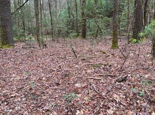 292A Harrison Sluder Rd, Ellijay, GA 30540
