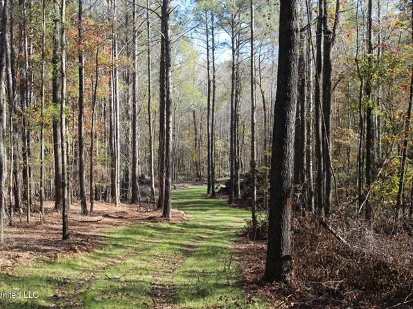 2000 State Highway 35 W, West, MS 39192