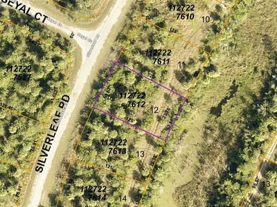 12 Silverleaf Rd, North Pt, FL, 34288
