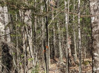 0 Chapman Rd, Harrison, ME 04040