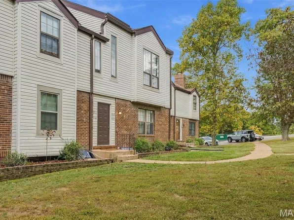 9718 Raintree Village Dr #3D, Hillsboro, MO 63050