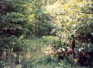 0 Roney Rd, Preston Hollow, NY 12469