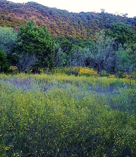 Bull Creek Park in the fall