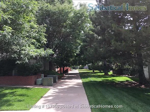 Enjoy a walk in the Winds 11 neighborhood
