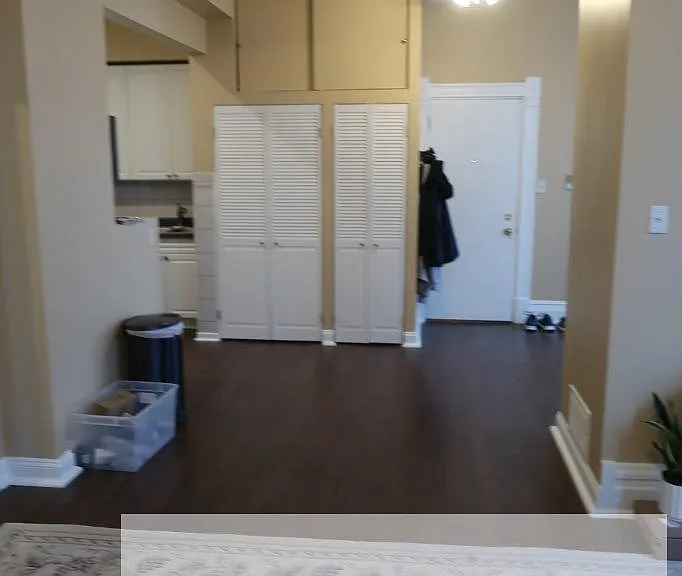 1547 W Blackhawk St #4C — Photo 10