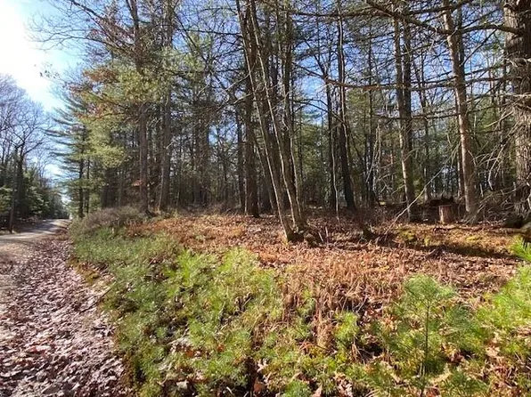 Lot 56 Ozeriany Road, Glen Spey, NY 12737