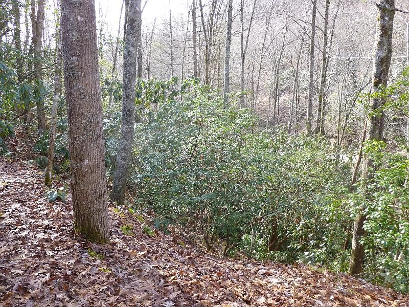 2nd image of 2667 Coopers Creek Rd