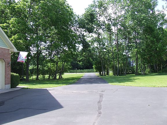 Long driveway hidden by trees