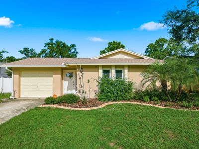 2914 Cypress Green Dr, Palm Harbor, FL, 34684