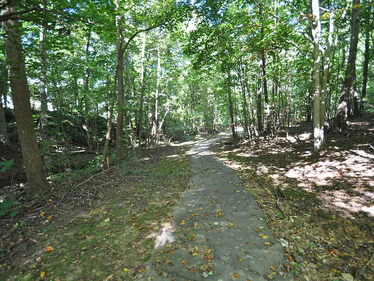 240 Beechtree Dr — Photo 26