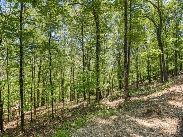 1184 Keetoowah Dr, Mooresburg, TN 37811